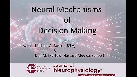 Neural Mechanisms of Decision Making