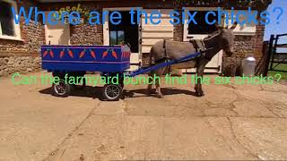 Wiggly Trivia Big Barn Farm Babysitters