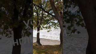 Учим английский...#юмор ,а может правда