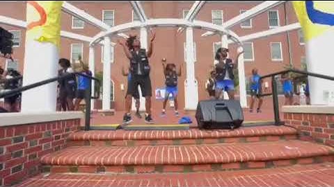 VSU Yardfest Phi Beta Sigma (Triaphaterror) 2024 💙🤍🕊️