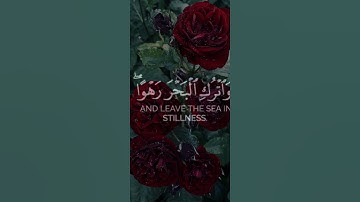 قرأن كريم 🌿تلاوة من سورة الدخان 🌿 القارئ اسلام صبحي 🌿