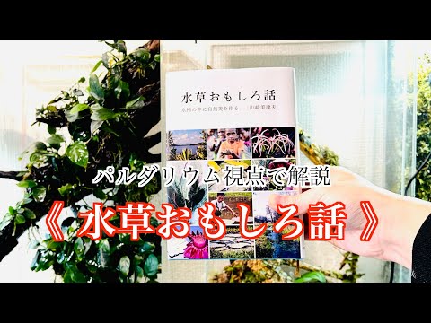 水草小話 Final episode] Lots of ghost shrimp multiplied in the echino
