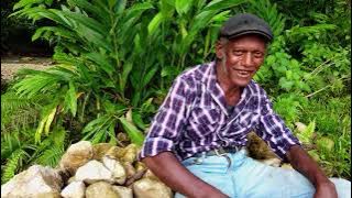 DICKSON SALE - SIDE LO SULU NOMOA [MUSICVIDEO] 2025