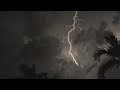 ⚡️ Tropical Thunderstorm & Rain Sounds For Sleeping, Relaxing ~ Rumbling Storm Equatorial Ambience