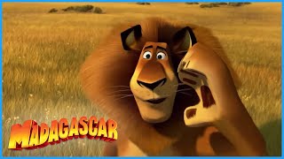 Dreamworks Madagascar See You Never Madagascar 3 Europes Most Wanted Kids Movies