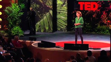 TED talks Pamela Meyer WOW opening