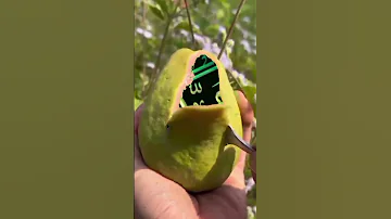 شوف لحظ ـ بحياة أمك الغالية ـ لا تغادر قبل أن تكتب اسم محمد ص 
