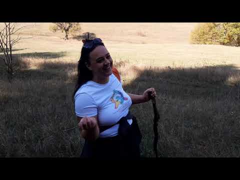 დაპირისპირება ეკასთან ალგეთის ტყეში