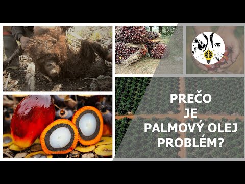 Video: Ako spracovávate palmový olej?