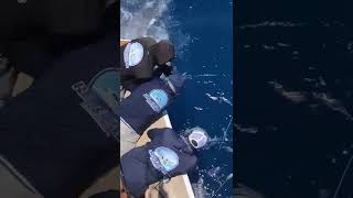 2022 Bisbee's East Cape Offshore | Retriever | Blue Marlin