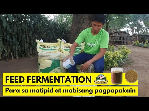 Video: Pag-aalaga sa Post-Harvest Cabbage – Alamin Kung Paano Mag-imbak ng Mga Ulo ng Repolyo