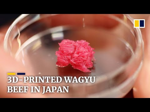 Scientists in Japan create 3D-printed Wagyu beef