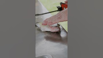 HOW to FILLET Crappie! (The Easy Way)