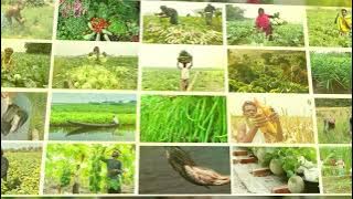 amader krishi sting up 2024
