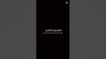 جزء 12 || أستمع وأرح قلبك 🌿💿 #القرآن_الكريم #تلاوة_خاشعة #اكسبلور #المصحف #تلاوة_تهز_القلوب