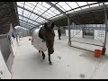 乗馬 / Horseriding：雨の日は   The rainy day  - GoPro -【Vlog #8】