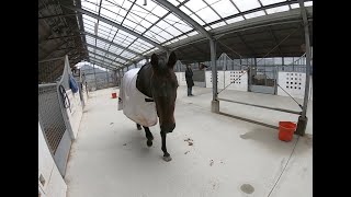 乗馬 / Horseriding：雨の日は   The rainy day  - GoPro -【Vlog #8】