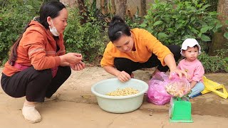 Single Mom - Harvesting silkworms to sell at the market, renting land to grow fruits and vegetables