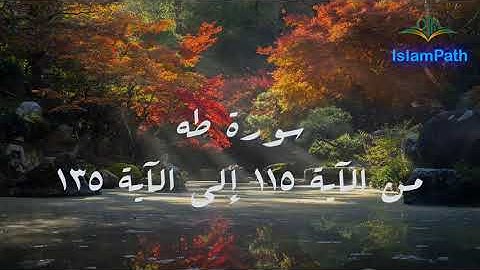 قراءة خاشعة سورة طه من الآية 115 إلى الآية 135 للقارئ عمر النبراوي