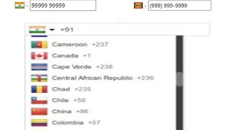 Phone Number Input in ReactJs | react-phone-number-input