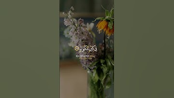 سبحان من رزقه هذا الصوت الخاشع 🎙️#القرآن_الكريم #تلاوة_خاشعة #القرآن  #خشوع#تلاوة #القران _ضياء