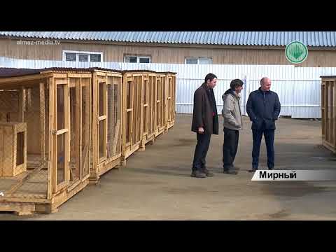 Открытие пункта передержки для безнадзорных животных