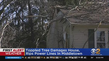 Strong winds bring down trees and power lines