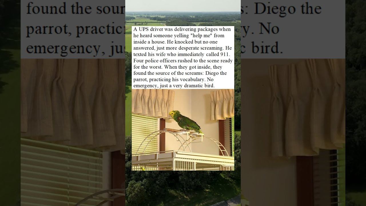 UPS Driver Calls 911 After Parrot Keeps Screaming Help Me 