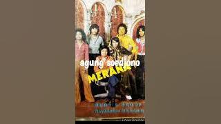 Merana - Rudy's Group