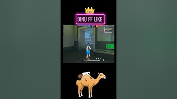 python.  programminghair   color.    at homeworld of Warcraft Plumbing  basics