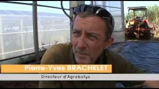 Emission Terres d'ici - Les robots agricoles - 070615