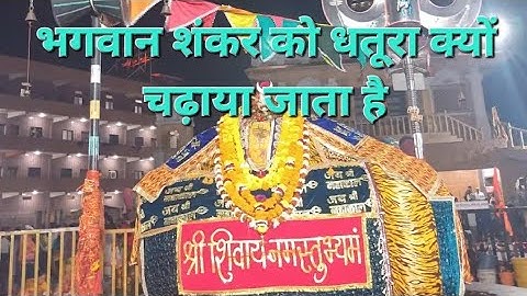 भगवान शंकर को धतूरा​ क्यों चढ़ाया जाता है #panditpradeepmishrajikishivpurankatha #mahadev