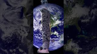 If You Hate Spiders Like This Video And Sub Pls