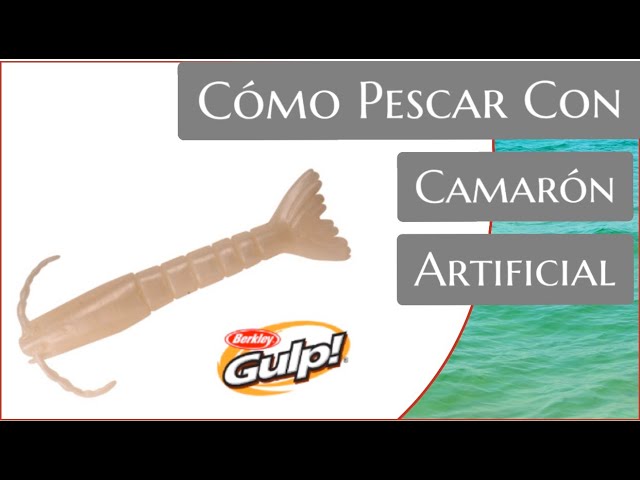 Salvaje Cambio satisfacción Cómo Pescar con CAMARÓN ARTIFICIAL -- El Berkley Gulp es LETAL para el  pargo, mero, jurel, y más! - YouTube