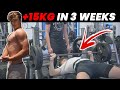 HOW TO ADD 15KG (33LBS) TO YOUR BENCH IN 3 WEEKS - SMOLOV JR!