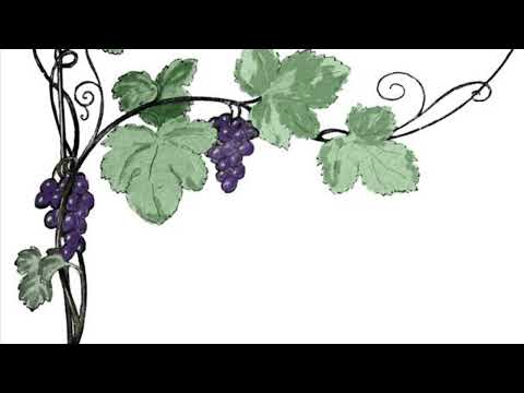 エレウテリア/grapevine cover