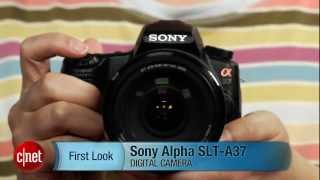 First Look: Sony Alpha SLT-A37: fast camera for frugal shooters