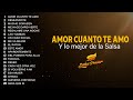 Amor cunto te amo y lo mejor de la salsa  salsa power