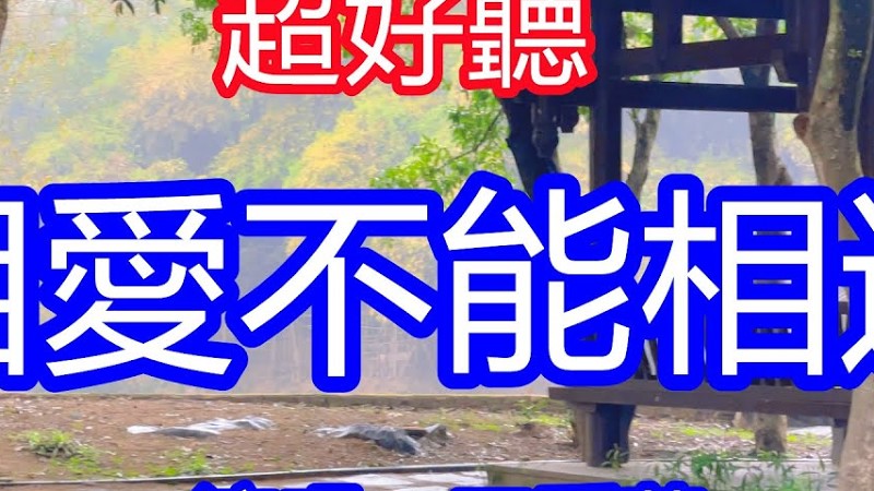 天呀！ 太好聽了，王愛華超火傷感情歌《相愛不能相逢》，日夜都想跟你相擁，夢醒以後真讓人心痛！ 讓你一聽就忘不掉的催淚神曲，唱的撕心裂肺，聽得痛哭流涕！ 桂林風景！ 傷感情歌！ 療癒情歌！