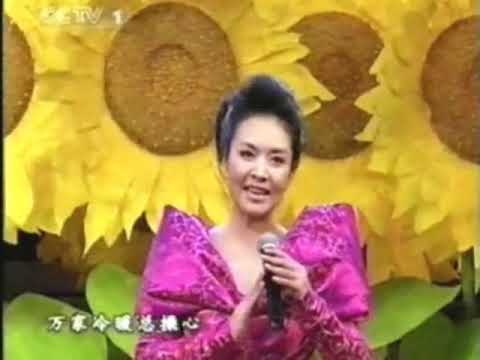 光荣颂（2006双拥军民迎新春）- 彭丽媛