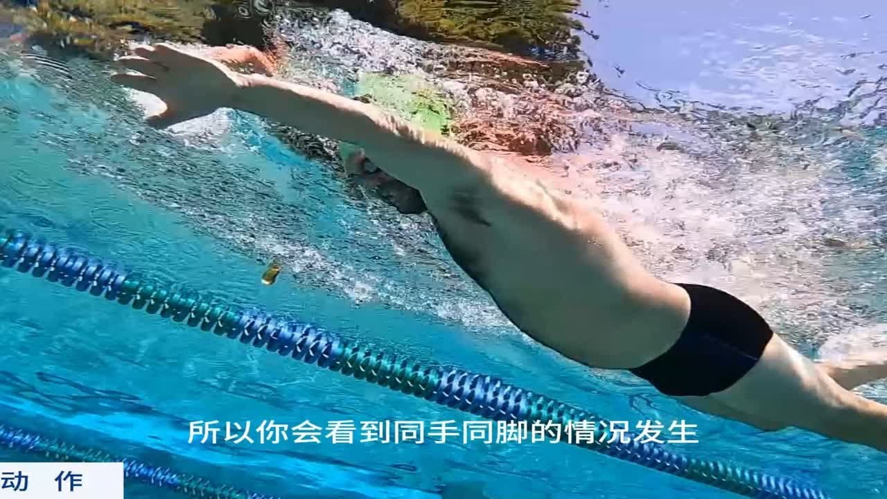成年人游好自由泳，要重视加强核心驱动力