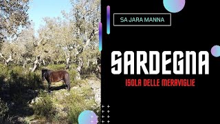 Sardegna: la Giara (sa Jara manna)