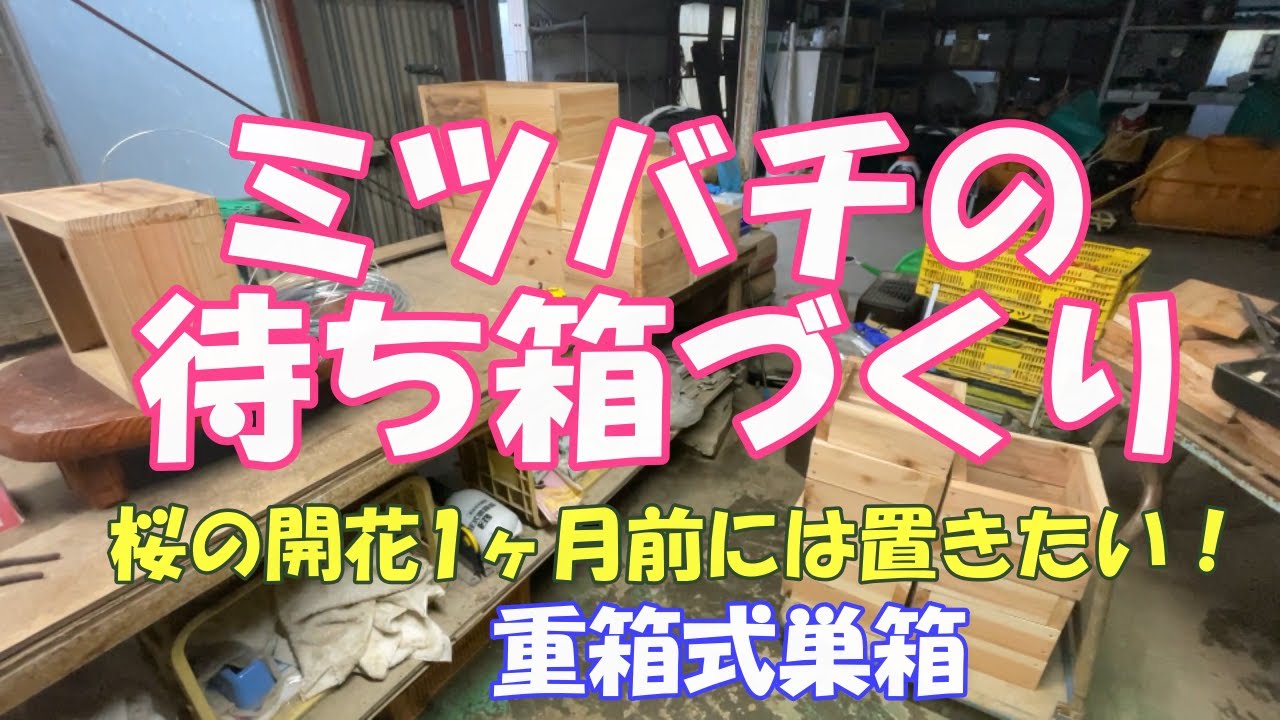 Making a multi-tiered beehive. It seems like only about 10% of it