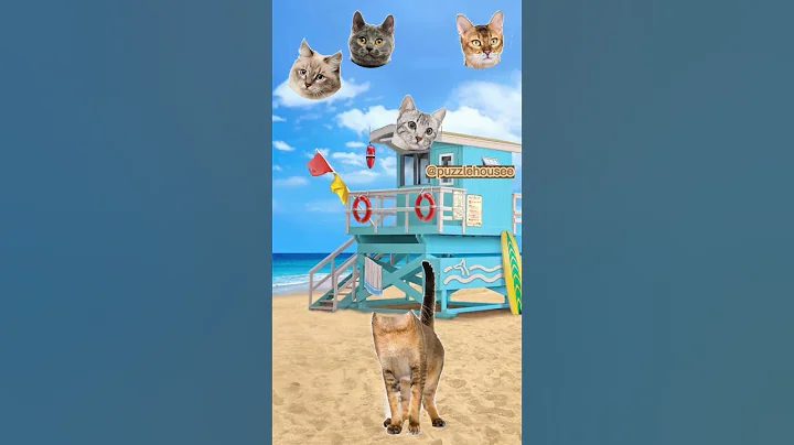 Watch the video about Wrong head change puzzle Chausie Cat | Mencocokkan kepala kucing Chausie #shorts #puzzle #cat #bts