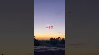 트형은 오시고 #엘에이 #주부권tv
