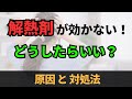 解熱剤が効かない６つの理由とスグできる対処法【薬剤師が解説】