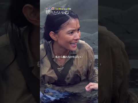 【一緒に渡ろう】「晴れたらいいね」3月30日(日)よる9時放送