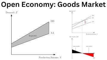 Open Economy Macroeconomics: The Goods Market