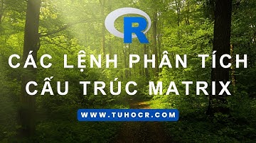 CÁC LỆNH CẤU TRÚC MATRIX | HƯỚNG DẪN R CĂN BẢN