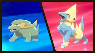ELECTRIKE EVOLVED INTO MANECTRIC (POKEMON SHIELD)